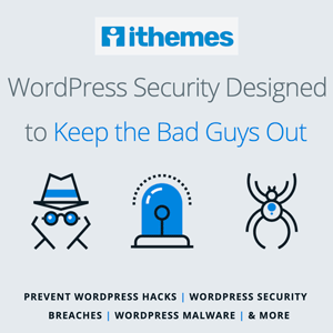 iThemes security pro