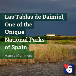 Las Tablas de Daimiel, One of the Unique National Parks of Spain