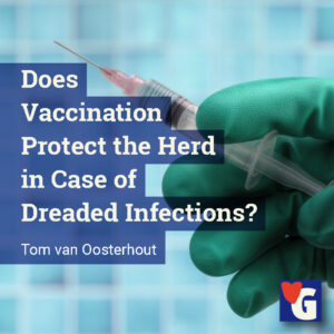 Does Vaccination Protect the Herd in Case of Dreaded Infections?